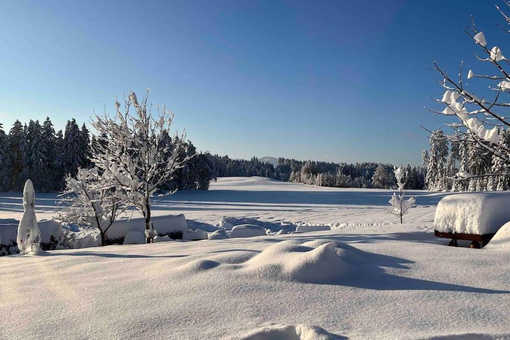 Allgaeuhaus Thomas Am Bauernhof Ferienwohnung Wald  Buitenkant foto